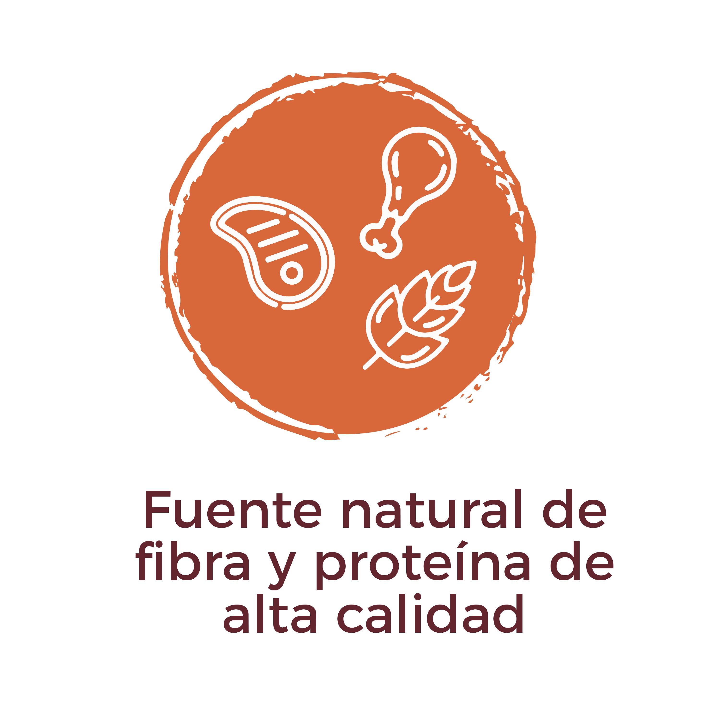 Alimento Para Perro Adulto L Croquetas Chop PetProan alimento-para-perro-adulto-l-croquetas-chop-petproan